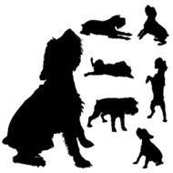 Vector silhouette of a dog N189