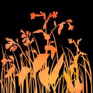 Silhouettes of flowers and grass N57
