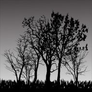Vector silhouette of tree N33