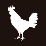 Chicken N31