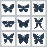 Vector isolated butterflies icons set N2