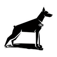 Doberman N3