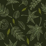 vector silhouette of various leaves N2
