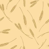 vector pattern spikelets