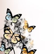Floral background with butterflies and dandelions N2