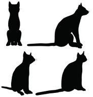 Cats collection - vector silhouette N9