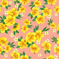 hibiscus repeats N14