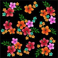 picture of Hibiscus N11