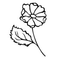 Beautiful Decorative Flower with Leaves (Vector) N25