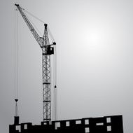 Cranes N5