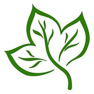 Green Leaf N23