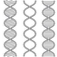 DNA Symbols N2