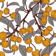 Cherries N20