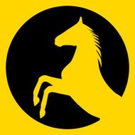 Horse N118