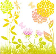 Meadow plants N5
