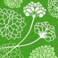 Chrysanthemum N7