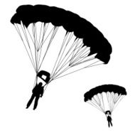 Skydiver N10