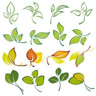 set of multi colored leaves