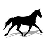 Horse N120