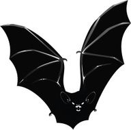 Vector Vampire bat N2