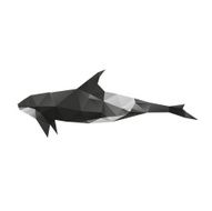 Grampus isolated on a white backgrounds