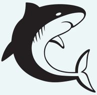 Silhouette shark N2