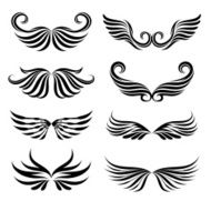 Wings Tattoo Collections