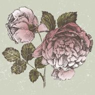 Retro-styled rose branch