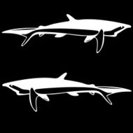 Shark black and white outline N2