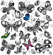 Set of butterflies N16