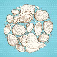 Seashell round design element