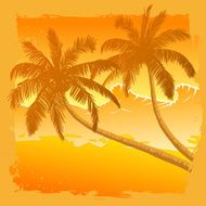 Palm Trees N28