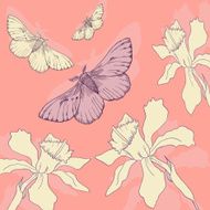 butterflies and narcissus