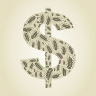 Dollar wheat