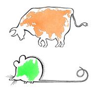Australia and Eurasia