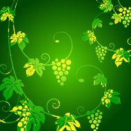 Grape vines green background