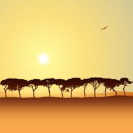 Line of Trees N5