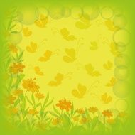 Background flowers and butterflies N5