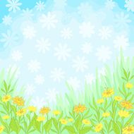 Flowers and sky background