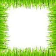 Grass frame N2