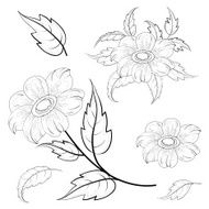 Flowers and leaves dahlia contours