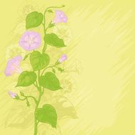 Background with flowers Ipomoea N4