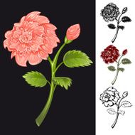 Collection of flowers N3