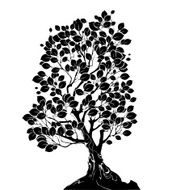 silhouette of a deciduous tree N2