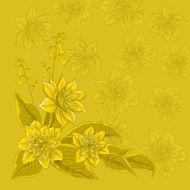 Background flower narcissus N3