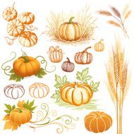 Autumn elements N2