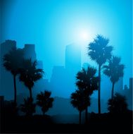 City palm lined skyline