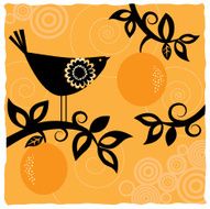 Birds and Fruits (Series) N11