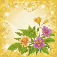 Flowers alstroemeria and ipomoea contours