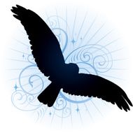Soaring High